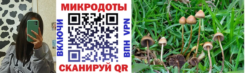 ОМГ ОМГ рабочий сайт  купить закладку  Выкса  Псилоцибиновые грибы ЛСД 