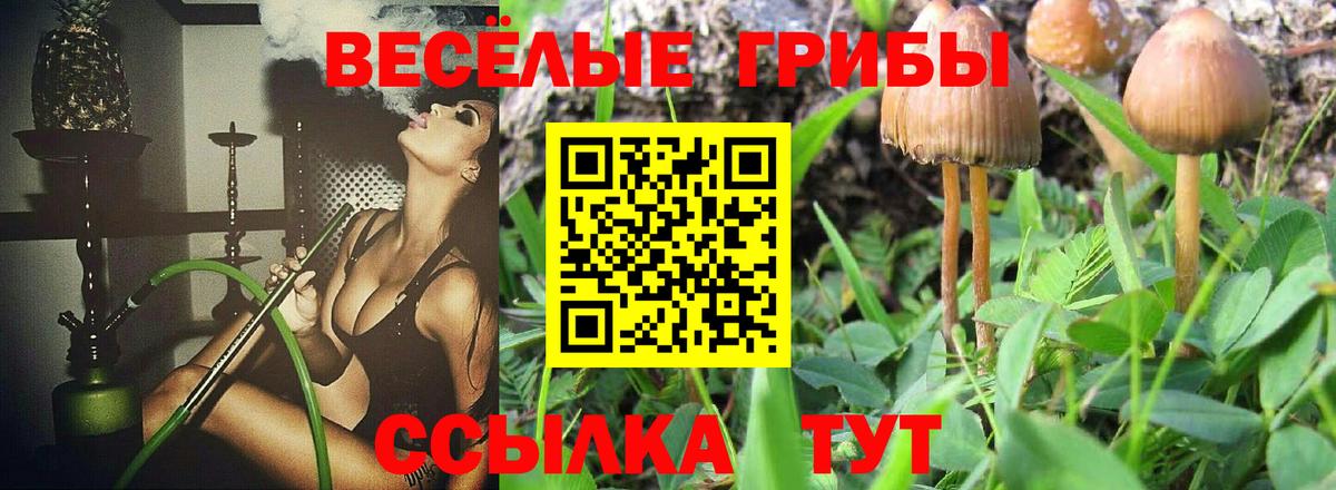Псилоцибиновые грибы GOLDEN TEACHER  Вход с VPN  Выкса 