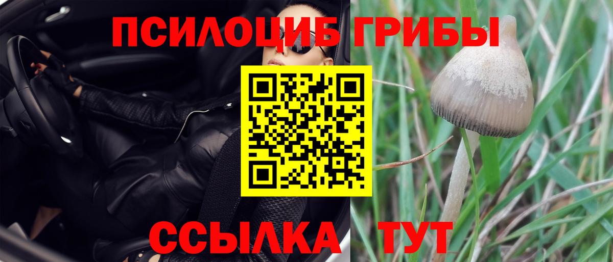 Псилоцибиновые грибы MAGIC MUSHROOMS Выкса